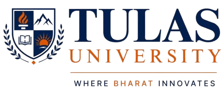 Tulas University