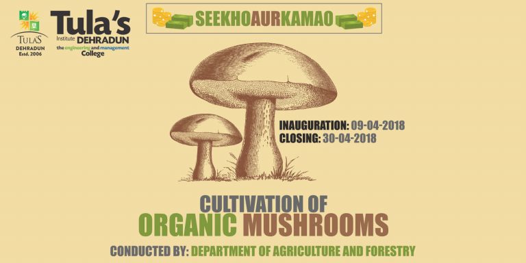 Read more about the article Mushroom Cultivation Program